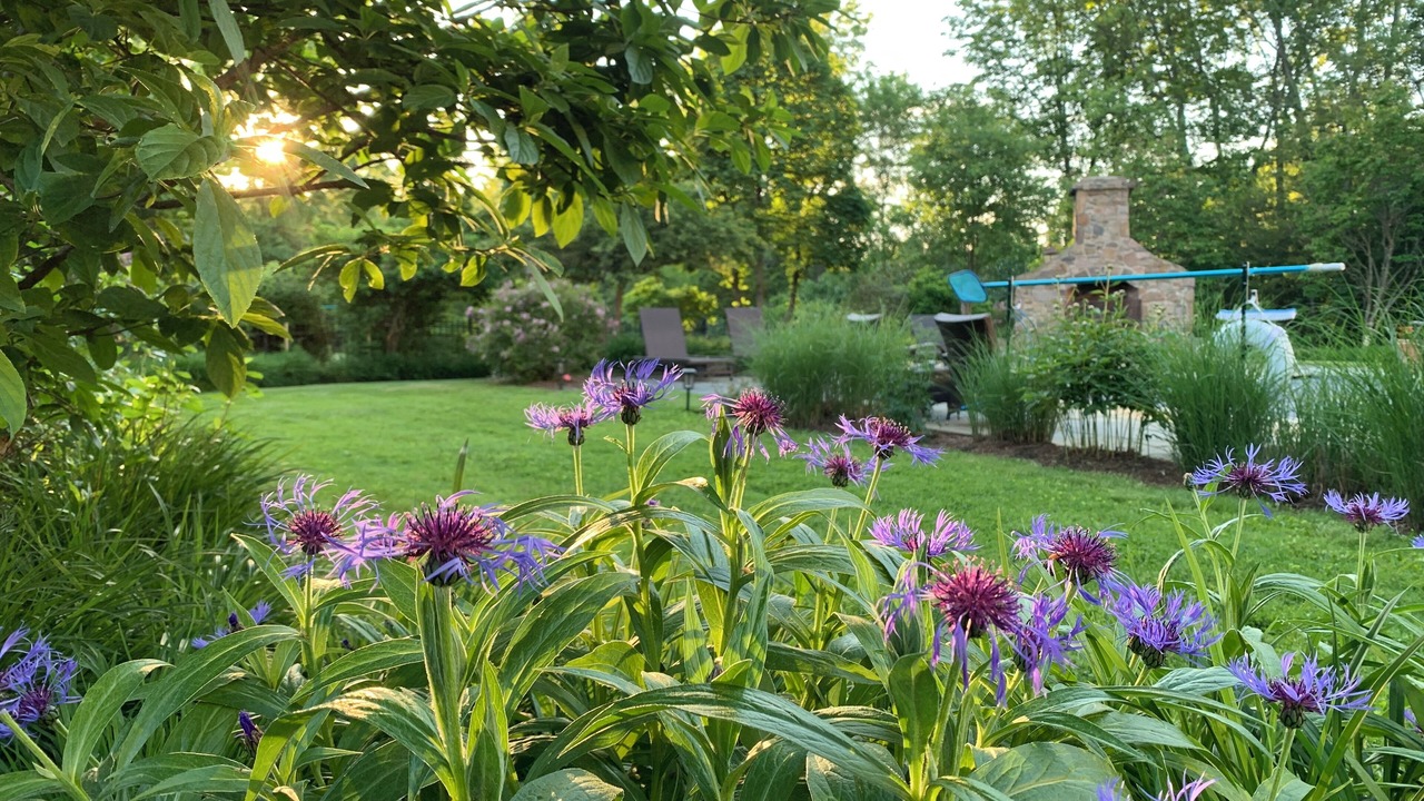 Photo of Outdoor in Colchester