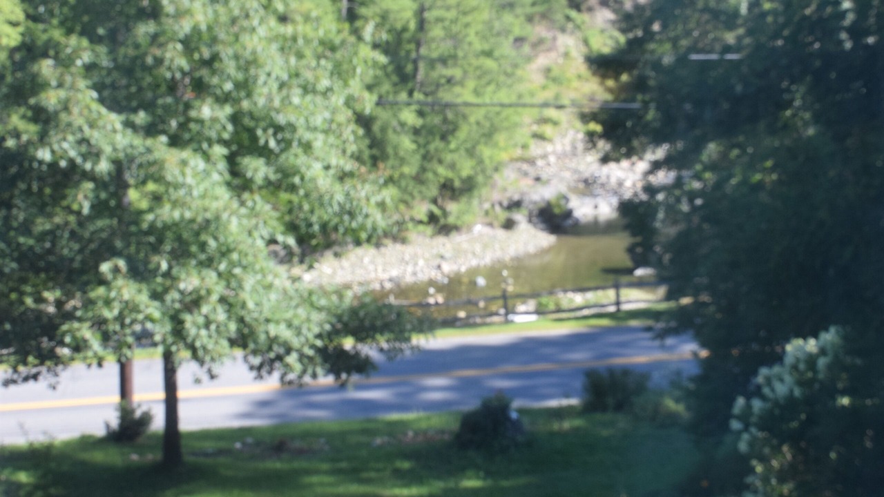 Photo of Others in Williamsville