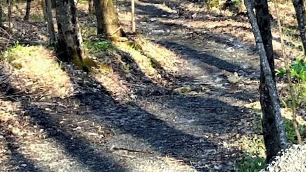 Photo of Others in Beebe Plain