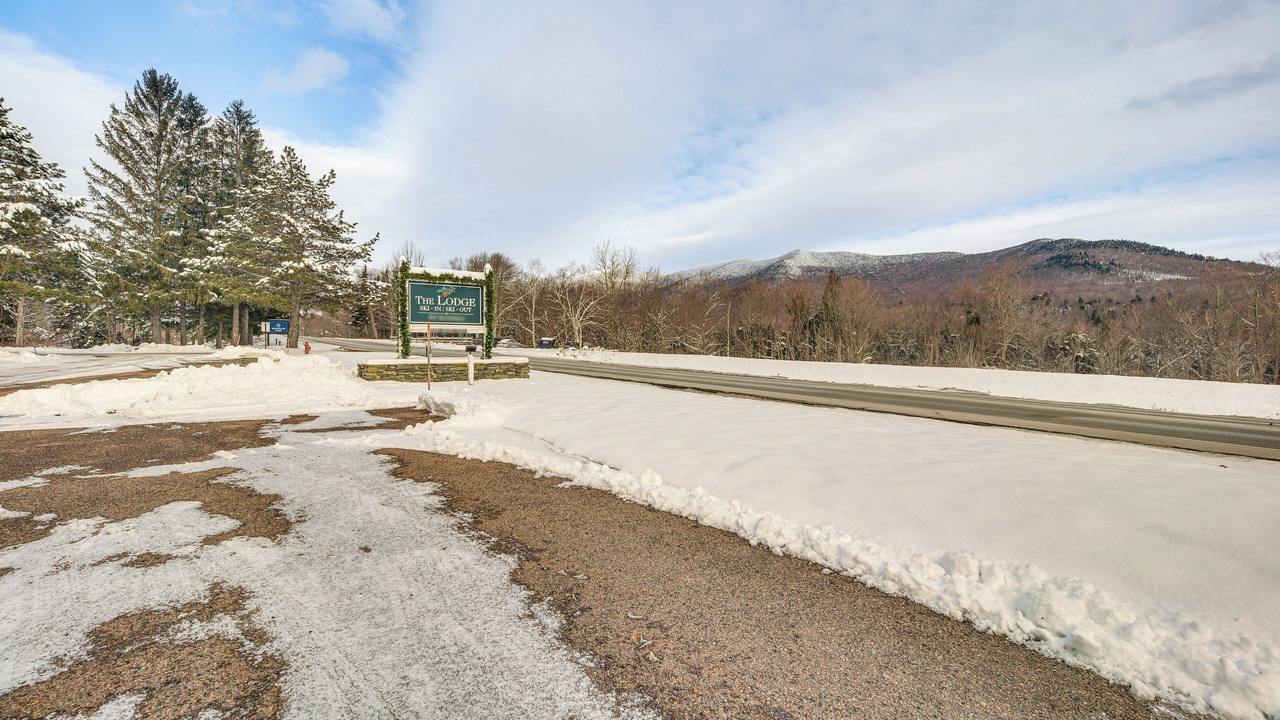 Photo of Others in Stowe Area