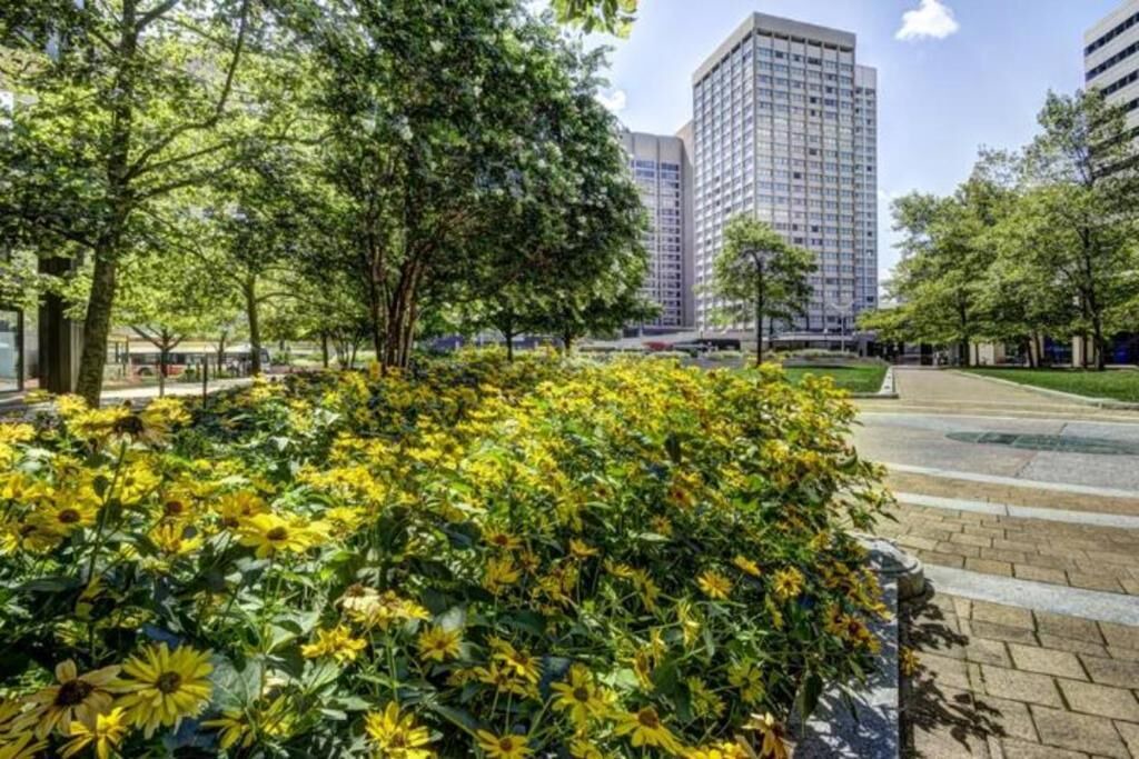 Photo of Outdoor in Downtown Baltimore