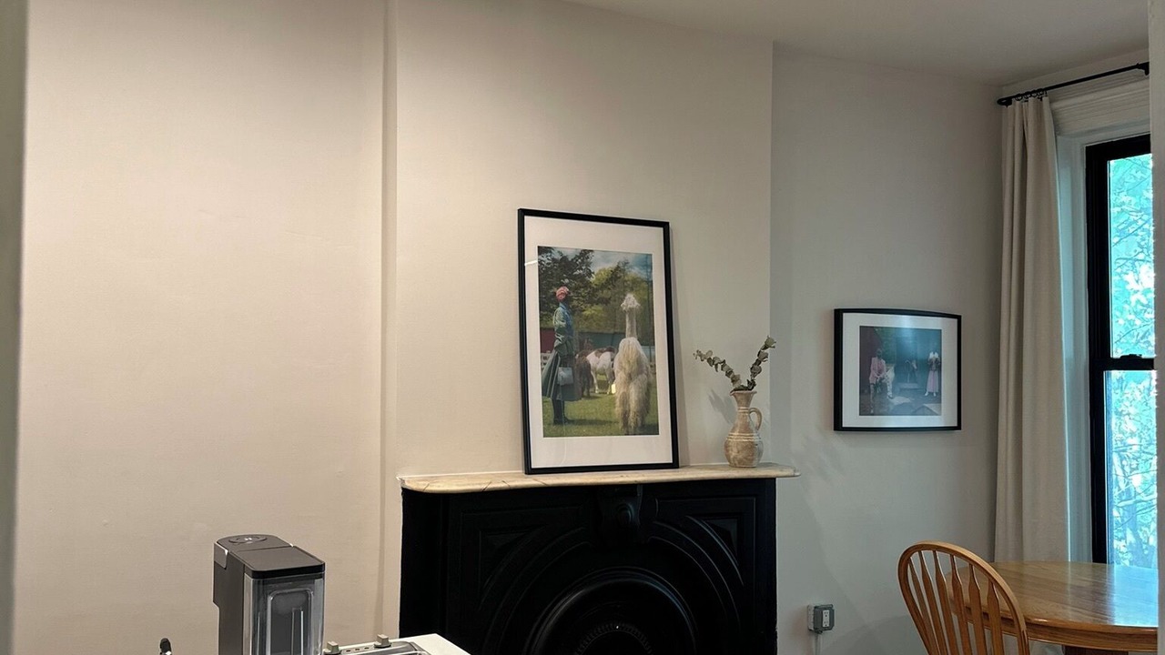 Photo of Others in Bedford-Stuyvesant
