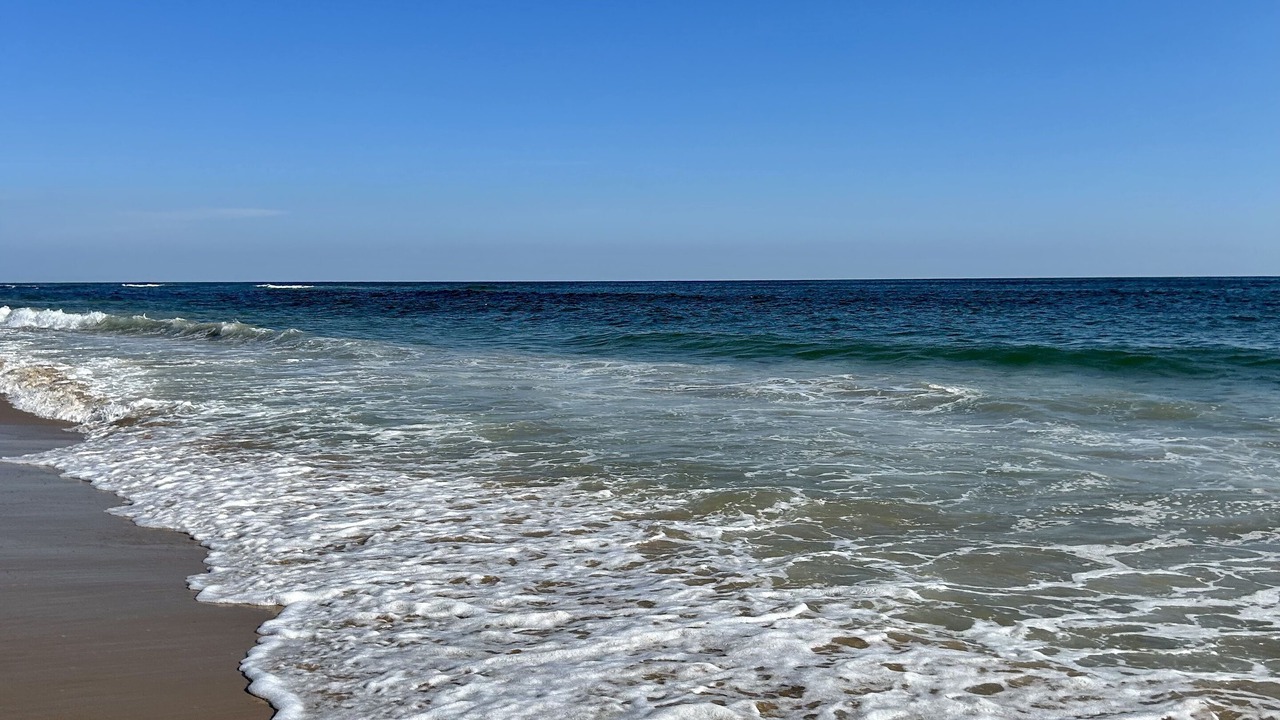 Photo of Others in Montauk