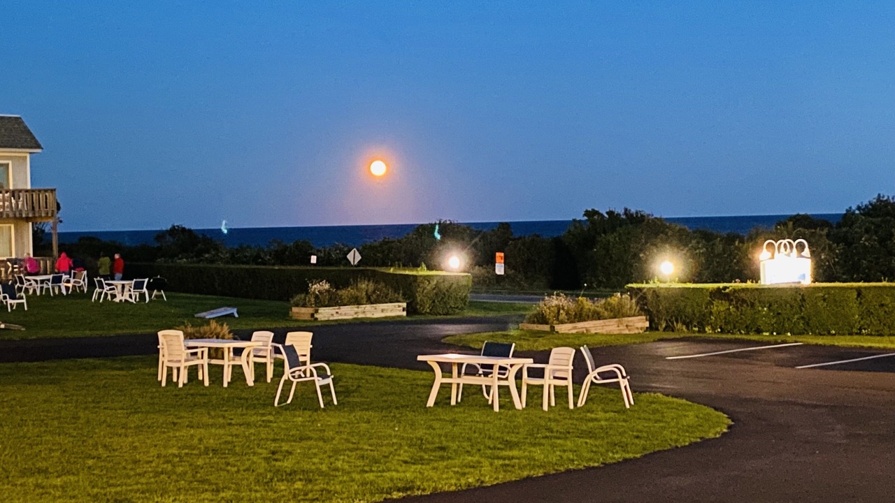 Photo of Others in Montauk
