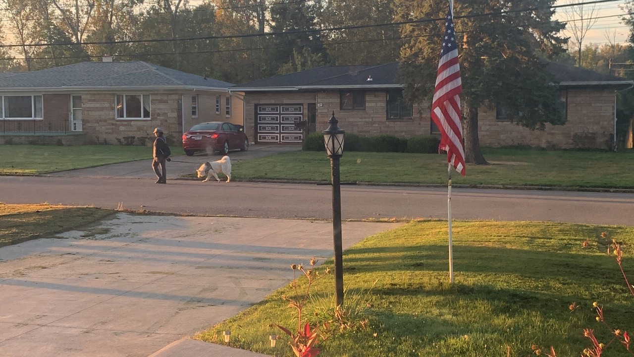 Photo of Outdoor in Lackawanna