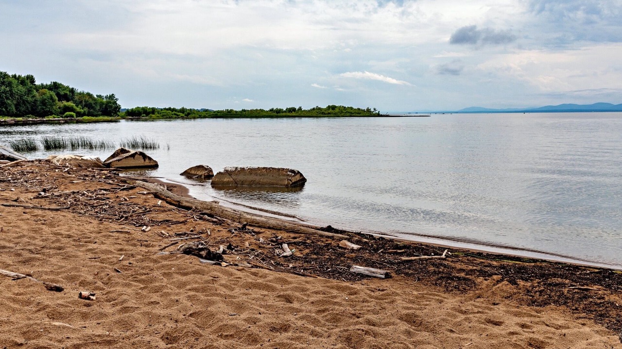 Photo of Others in Malletts Bay
