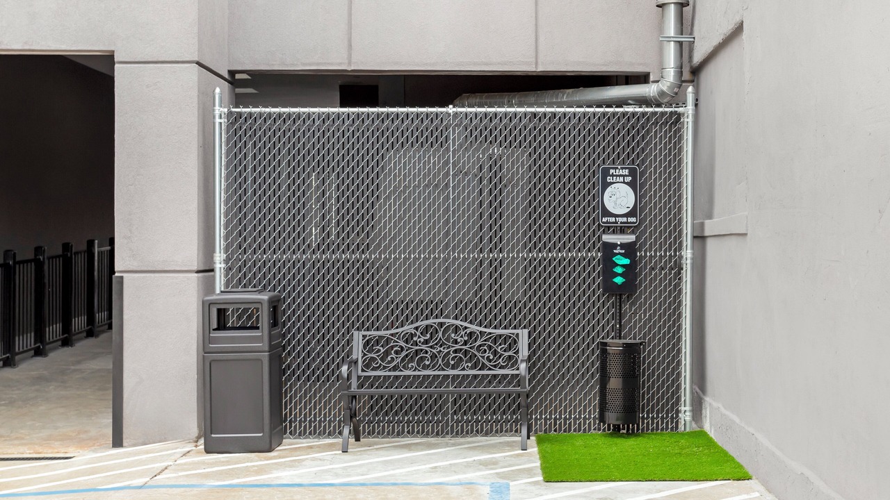 Photo of Others in Queens