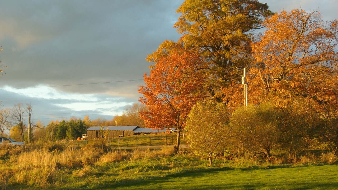 Photo of Outdoor in Middlebury
