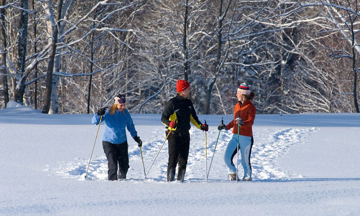 Photo of Others in Moscow