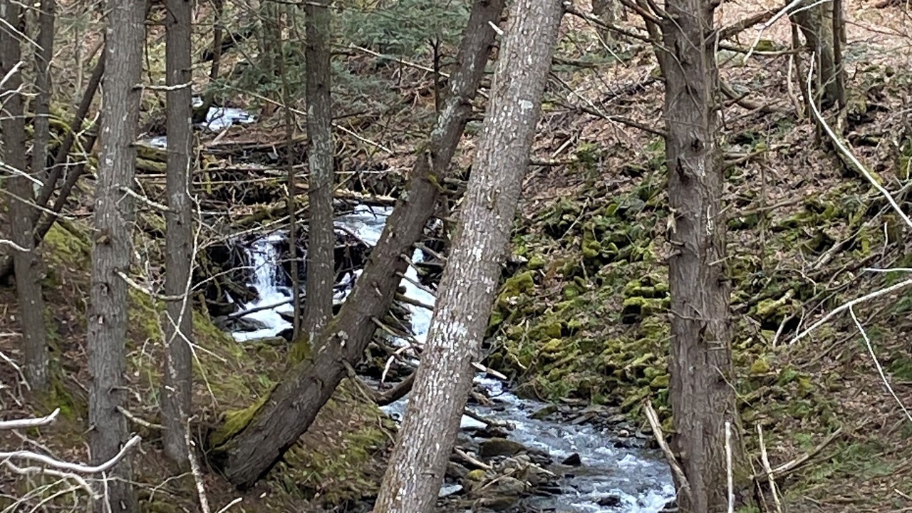 Photo of Outdoor in East Randolph