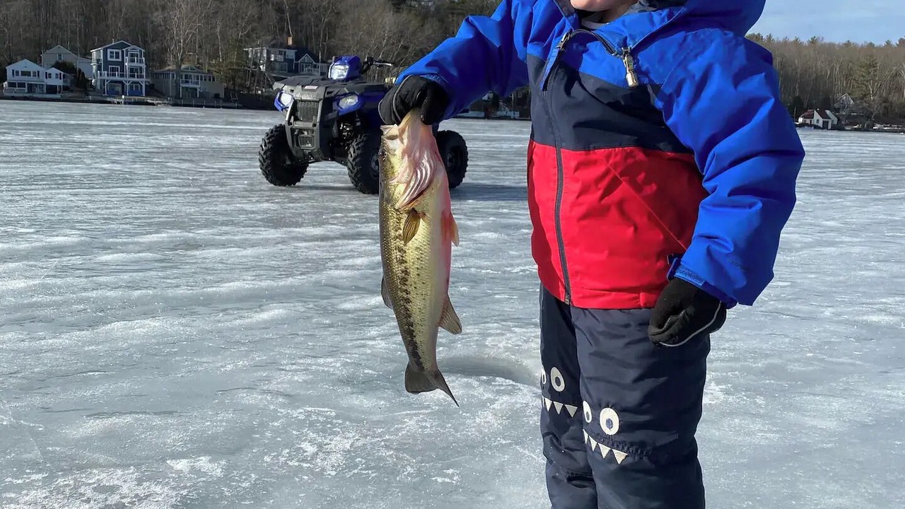 Photo of Others in Windham