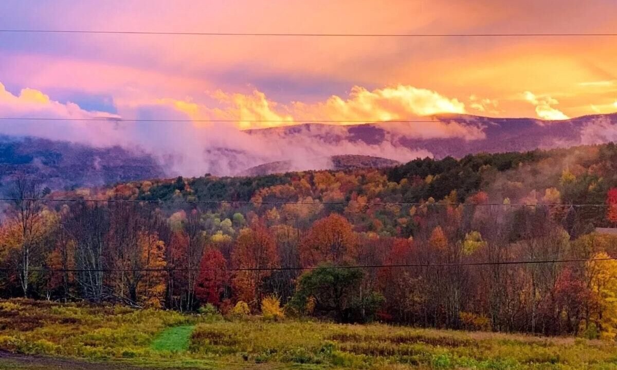 Photo of Others in Prattsville