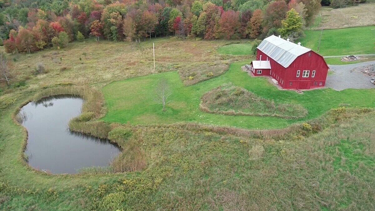 Photo of Outdoor in Prattsville