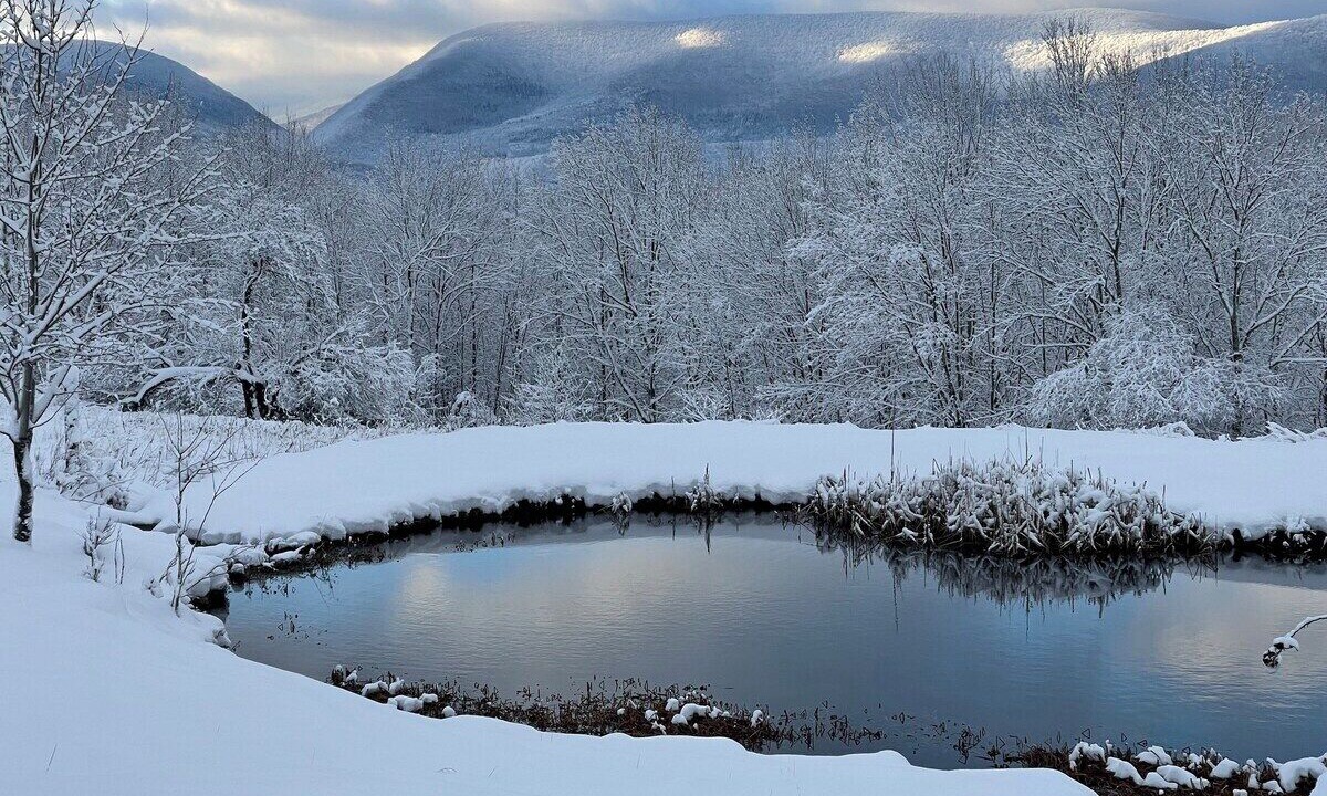 Photo of Outdoor in Prattsville
