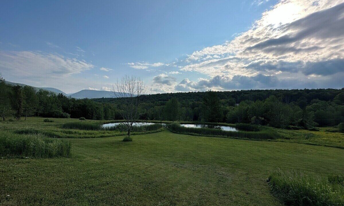 Photo of Outdoor in Prattsville