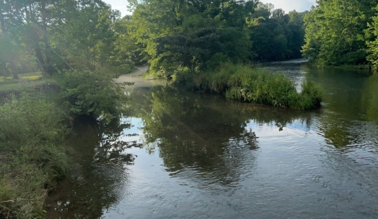 Photo of Others in Covington