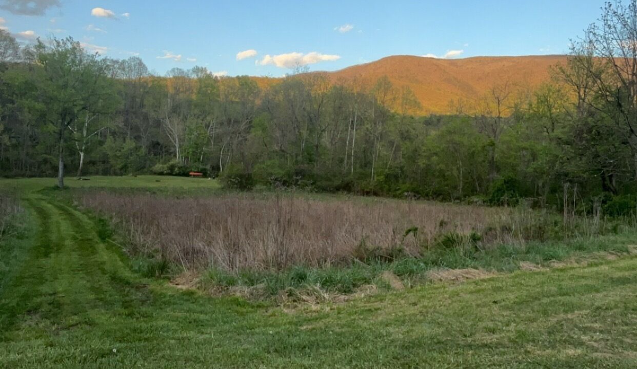Photo of Outdoor in Covington