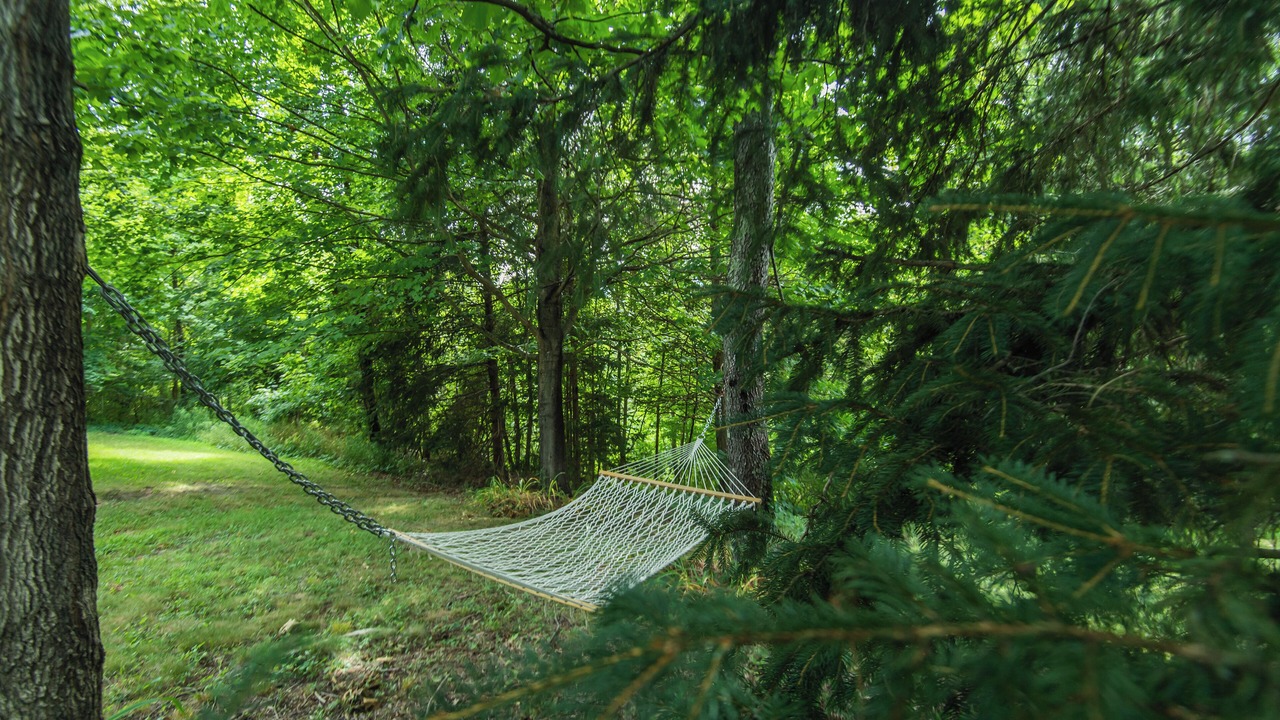 Photo of Outdoor in Claverack