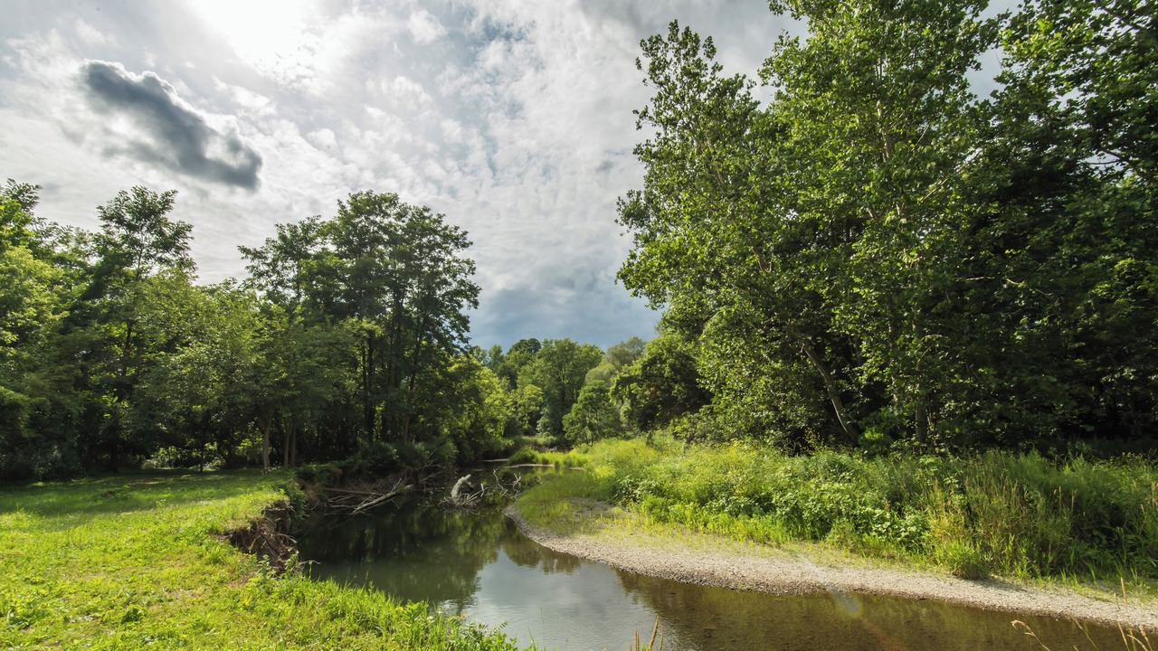 Photo of Outdoor in Claverack