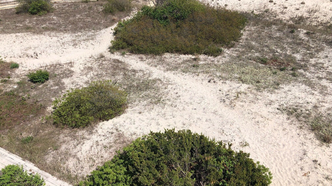 Photo of Outdoor in Gold Coast