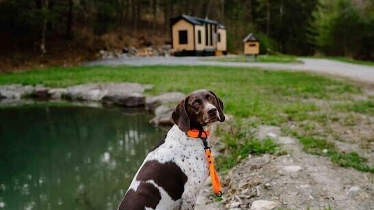 Photo of Outdoor in Chester