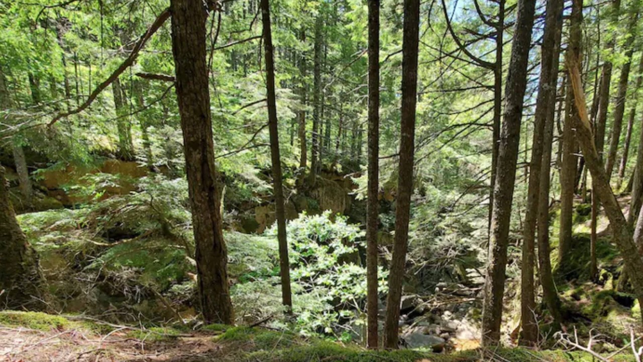 Photo of Outdoor in Waterville Valley