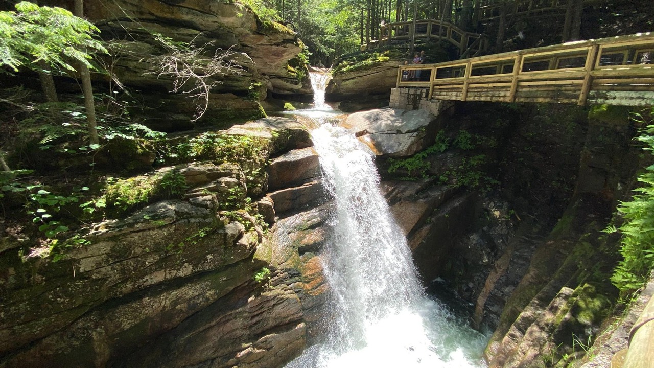 Photo of Others in Twin Mountain