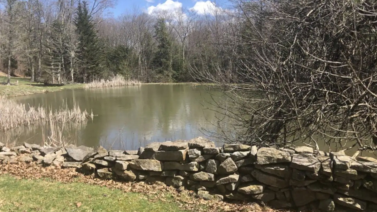 Photo of Others in Canaan Valley