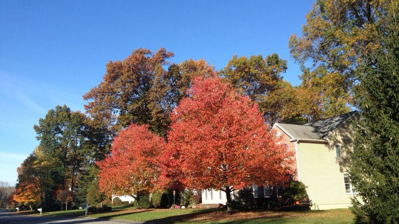 Photo of Outdoor in Clifton Park