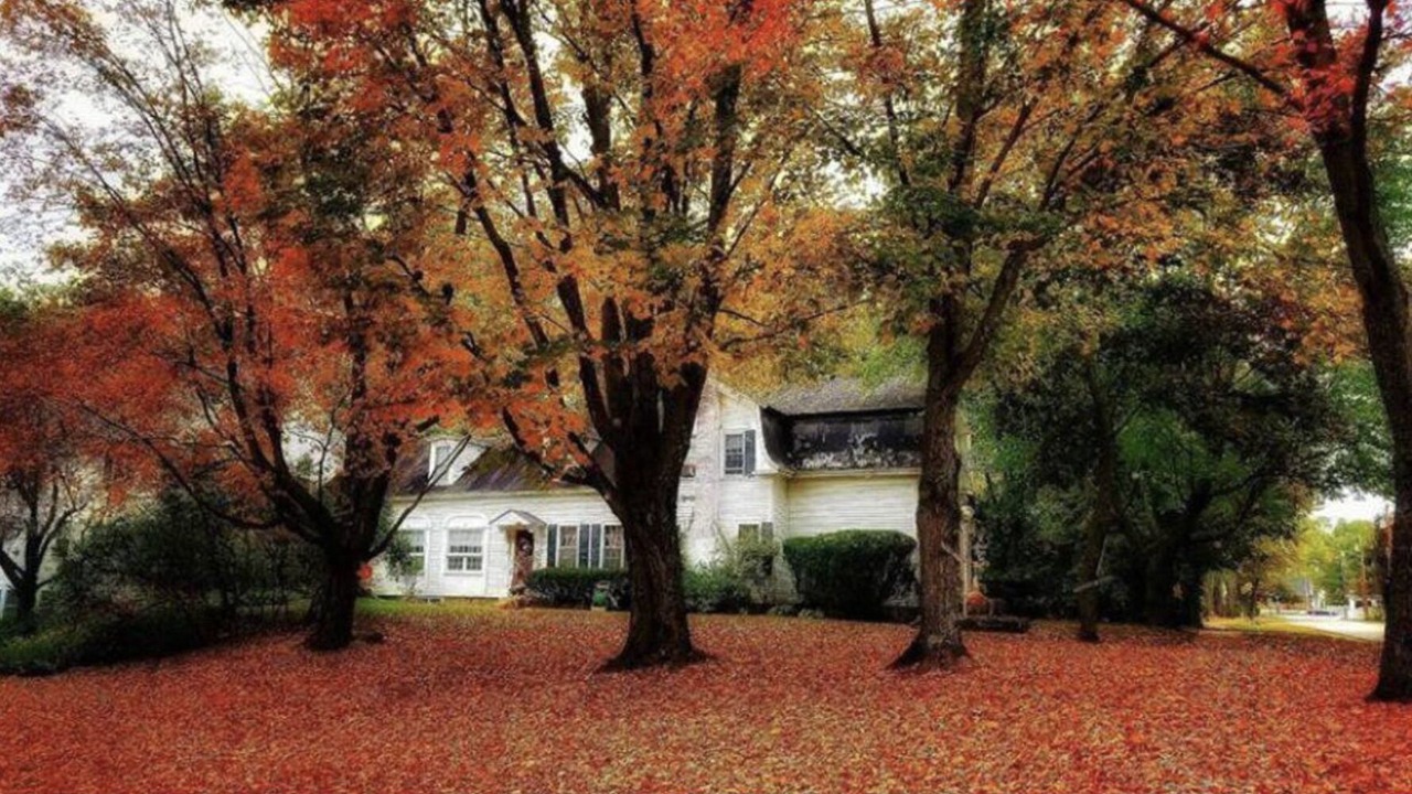 Photo of Outdoor in Fryeburg