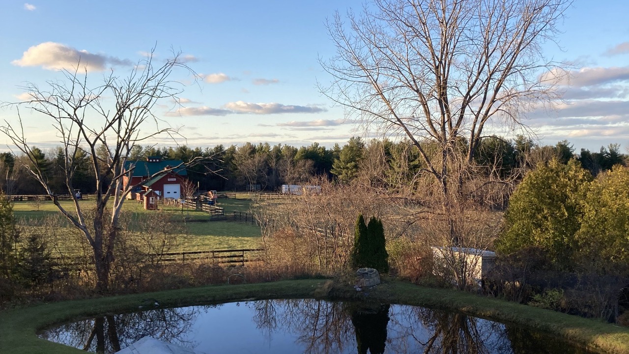 Photo of Outdoor in Williston South