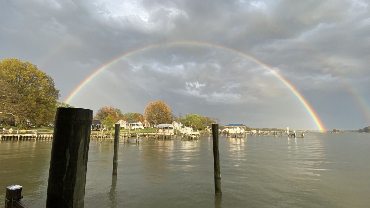 Photo of Others in Swan Point
