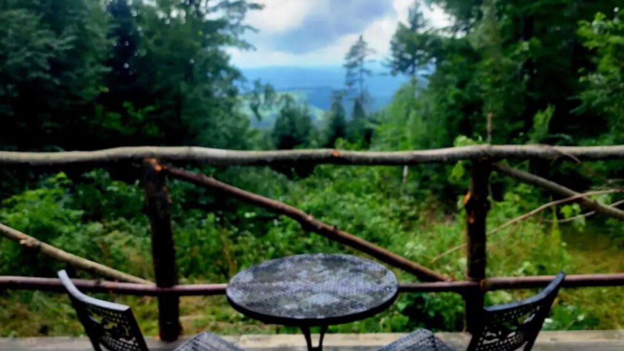 Photo of Others in Walden