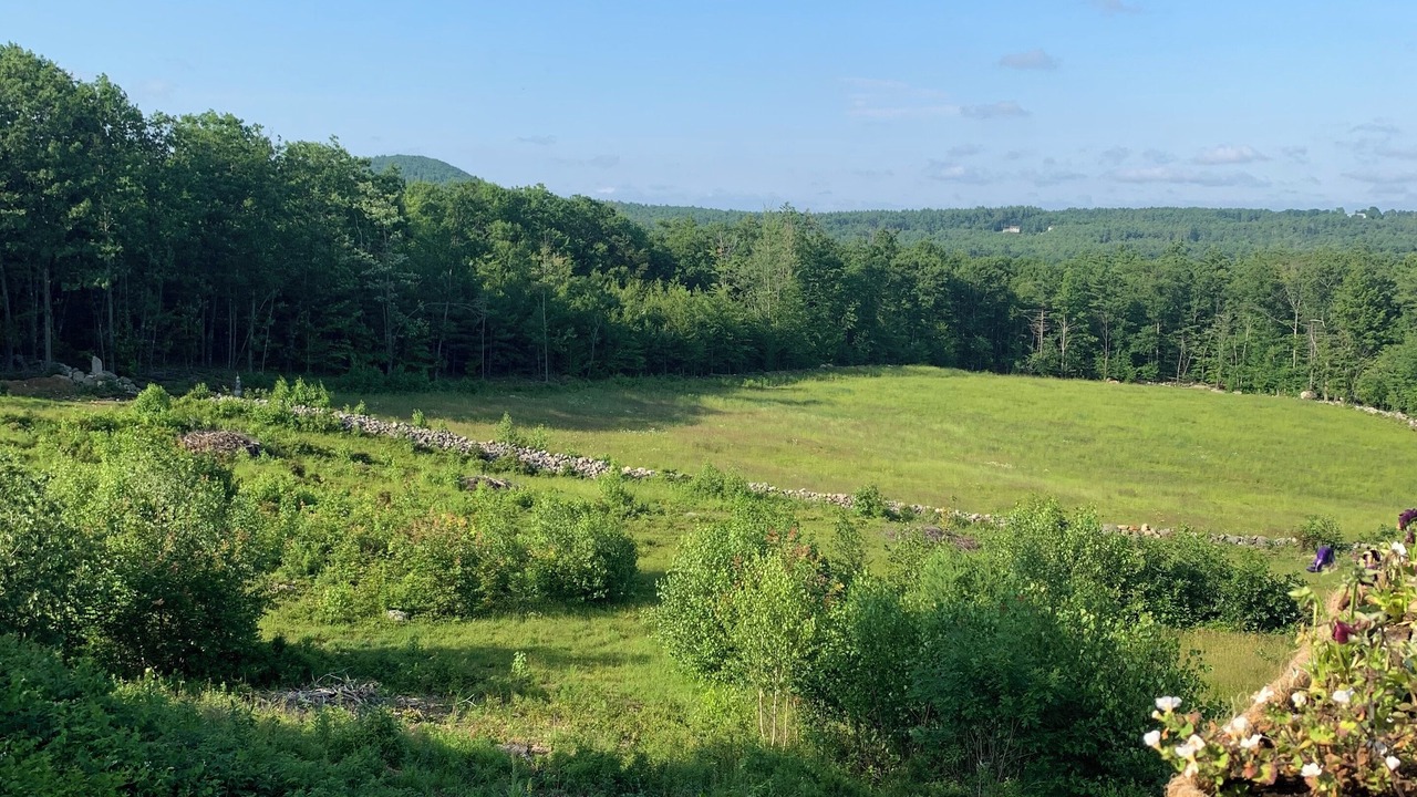 Photo of Outdoor in Milton