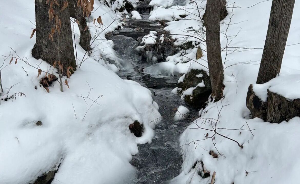 Photo of Outdoor in Williamsville