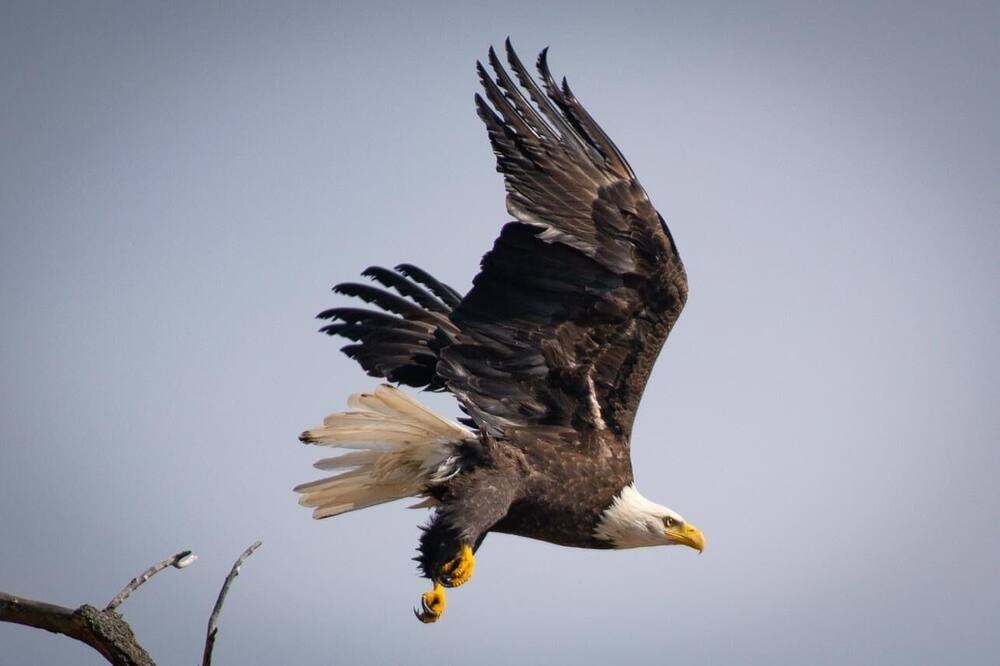 Photo of Others in Northville