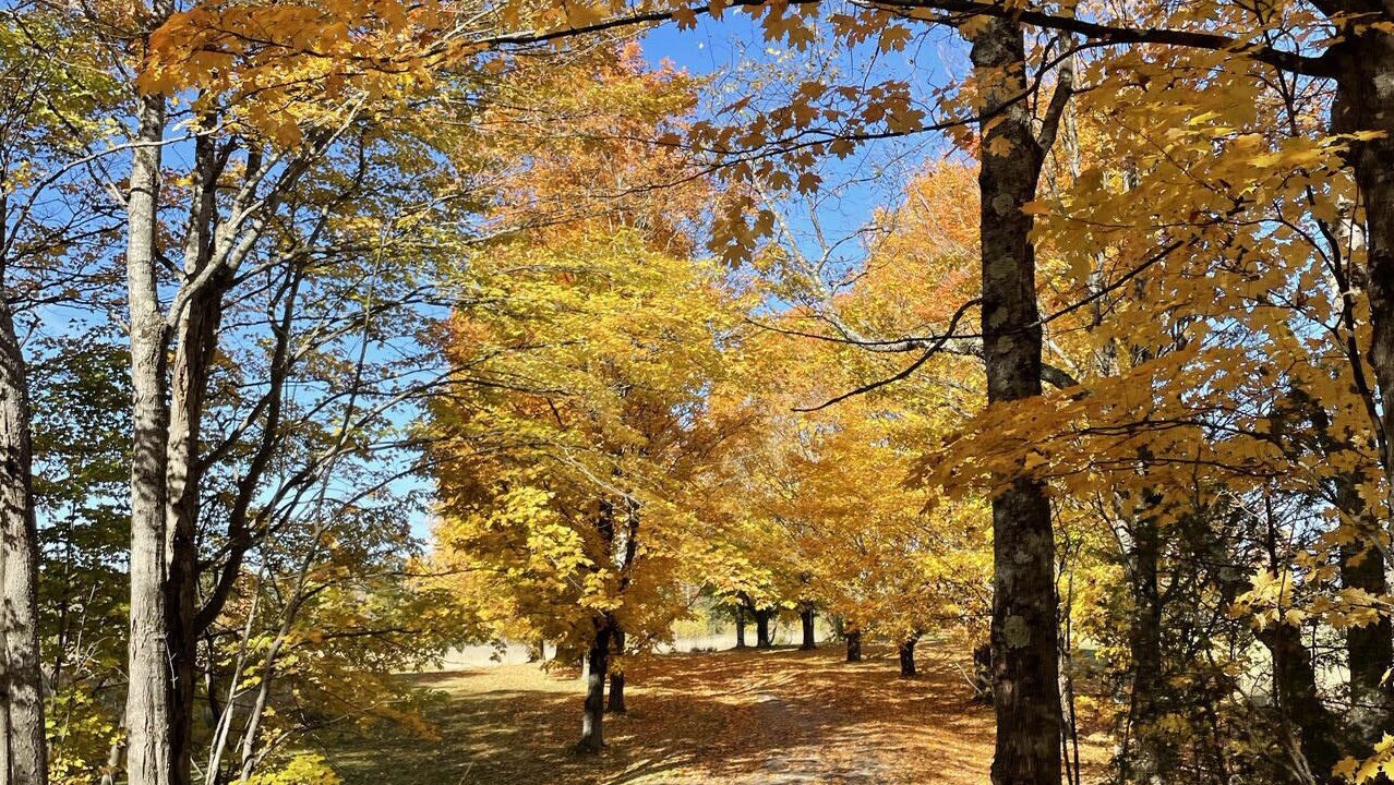 Photo of Outdoor in Greensboro
