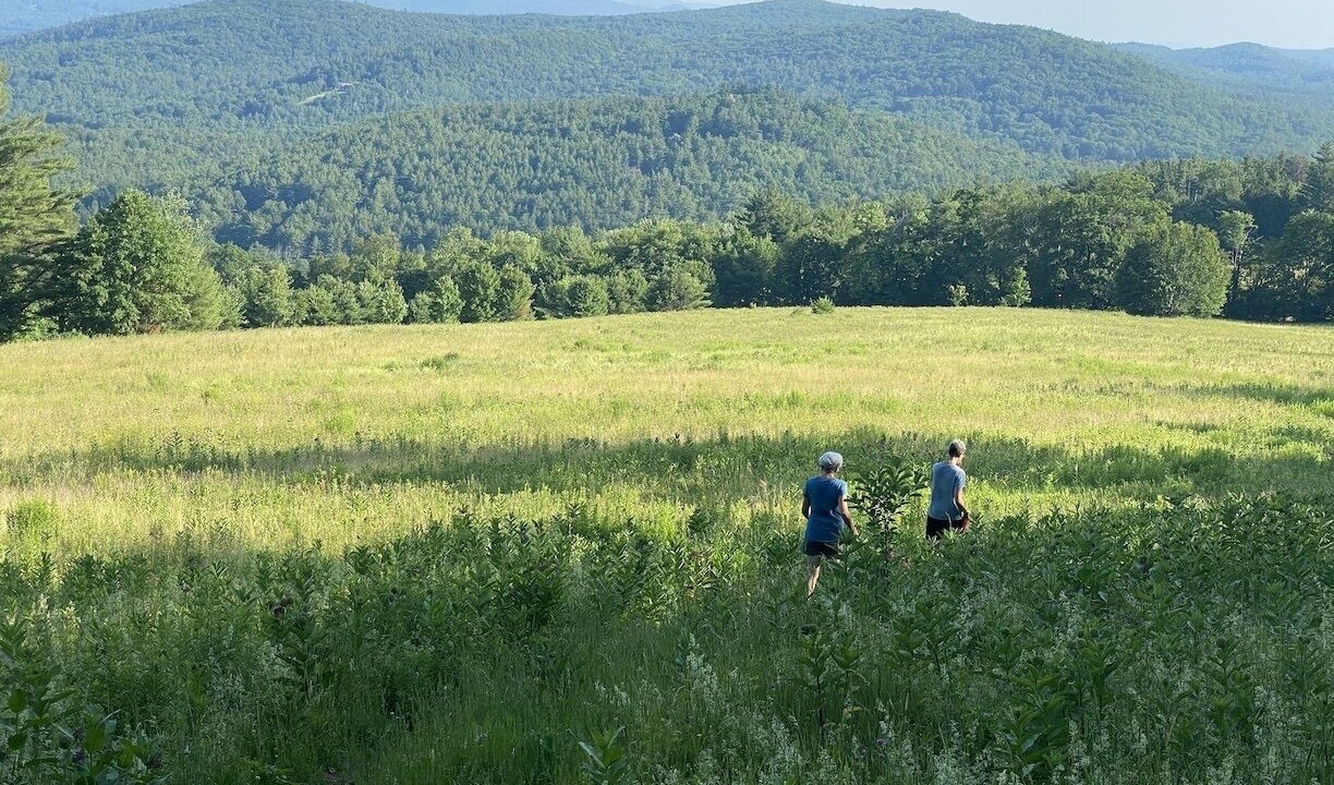 Photo of Others in Lyme Center
