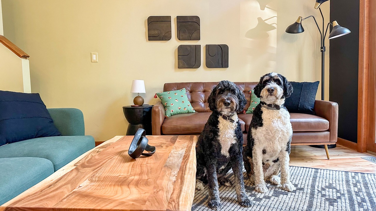 Photo of Livingroom in Silver Lake