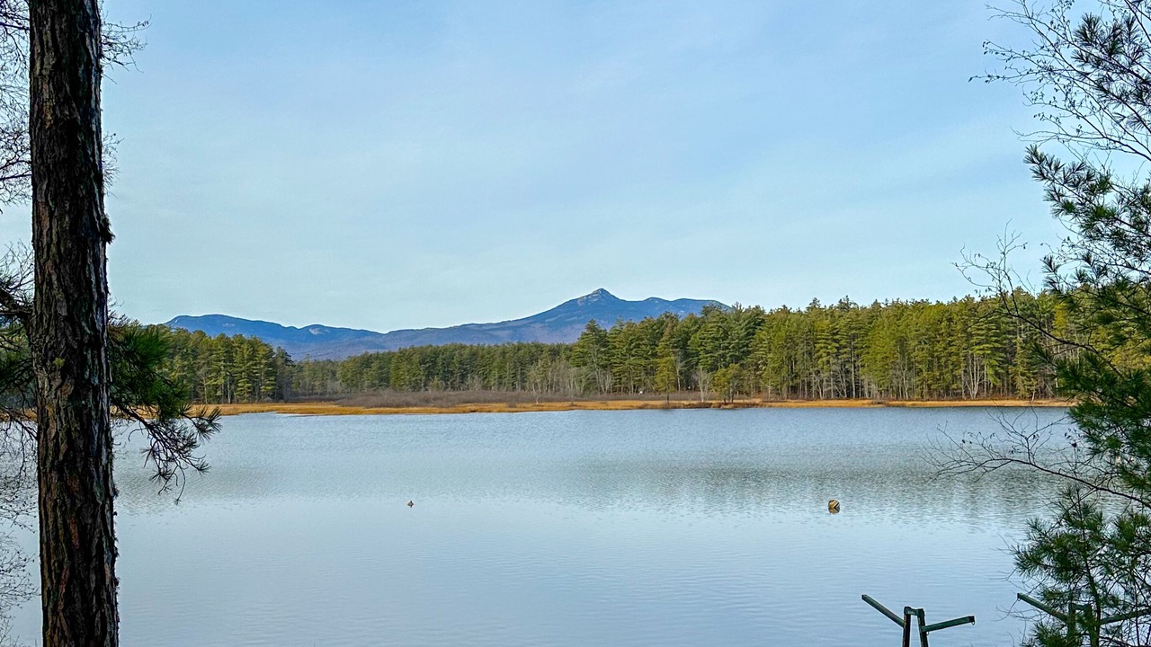 Photo of Outdoor in Silver Lake