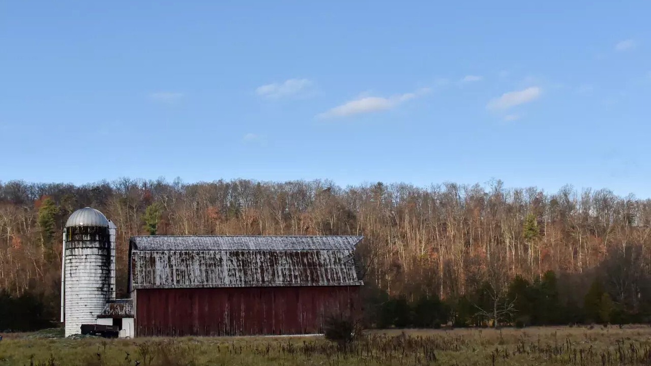 Photo of Others in Wardensville
