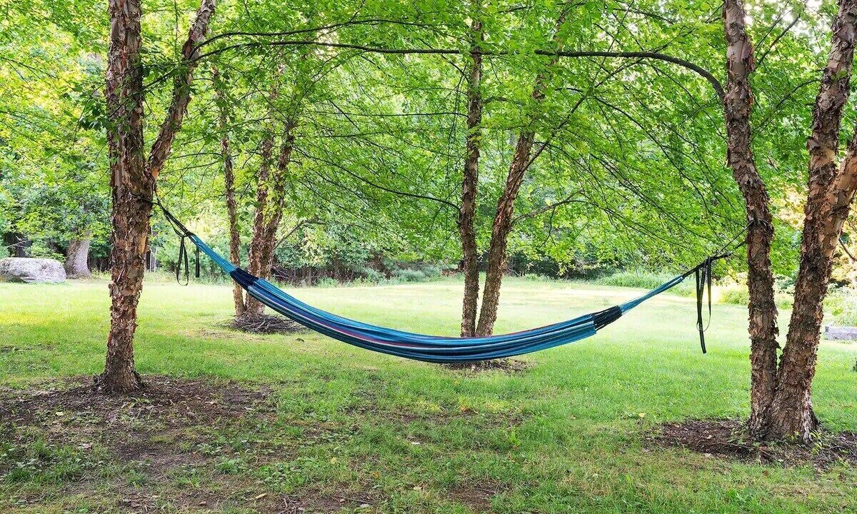Photo of Outdoor in Woodstock