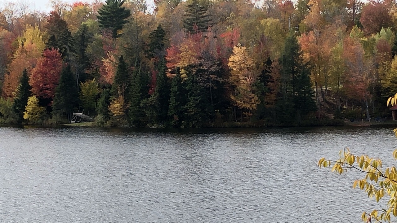Photo of Others in Green Mountains