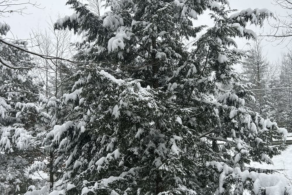 Photo of Outdoor in Westfield