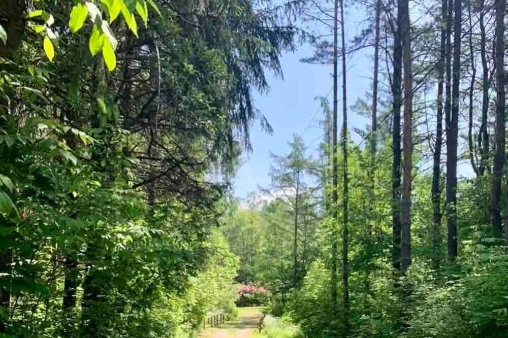 Photo of Outdoor in Jamestown