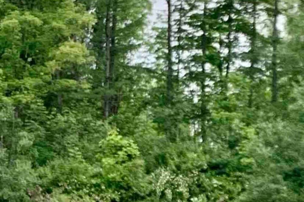 Photo of Outdoor in Jamestown