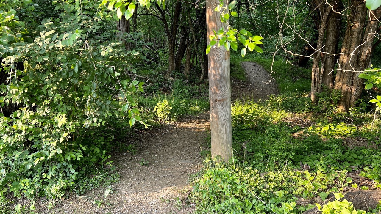 Photo of Outdoor in Bolivar