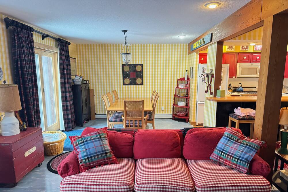 Photo of Livingroom in Bromley Mountain