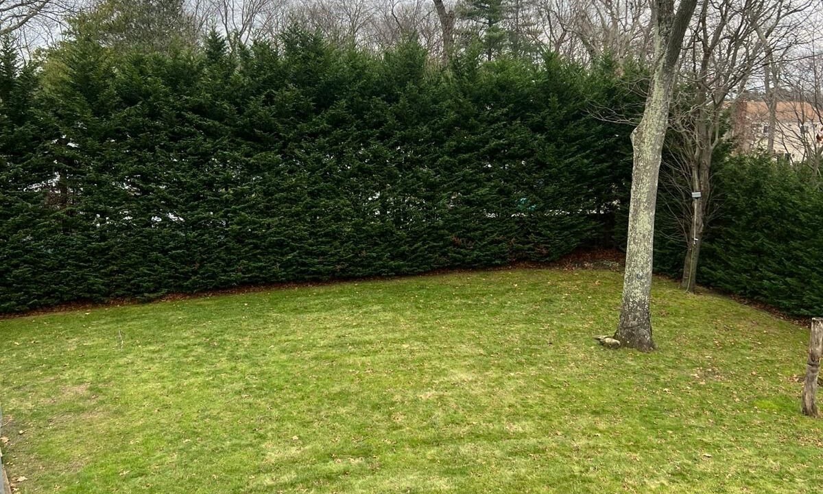 Photo of Outdoor in Dix Hills