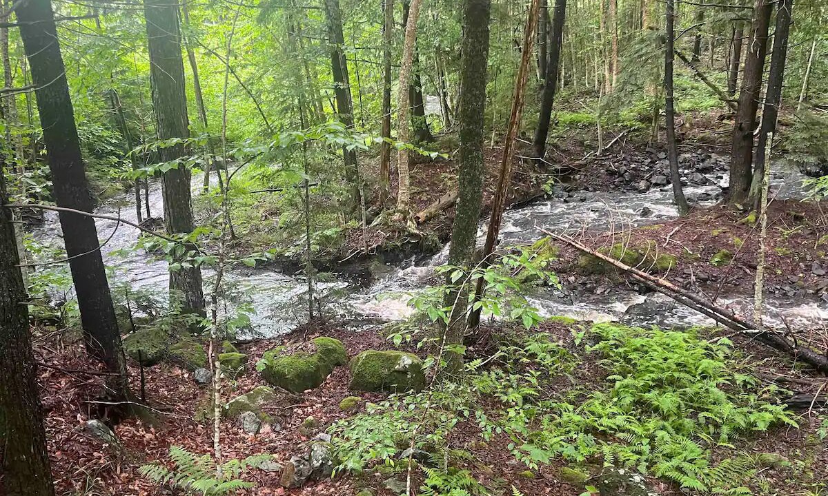 Photo of Outdoor in Green Mountains